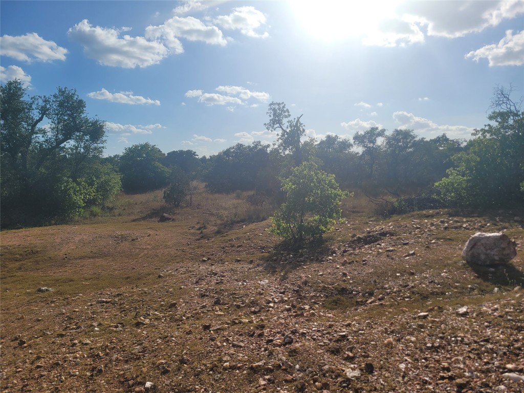 a view of outdoor space and tree