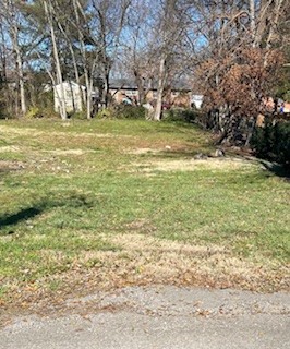 a view of yard with swimming pool and trees