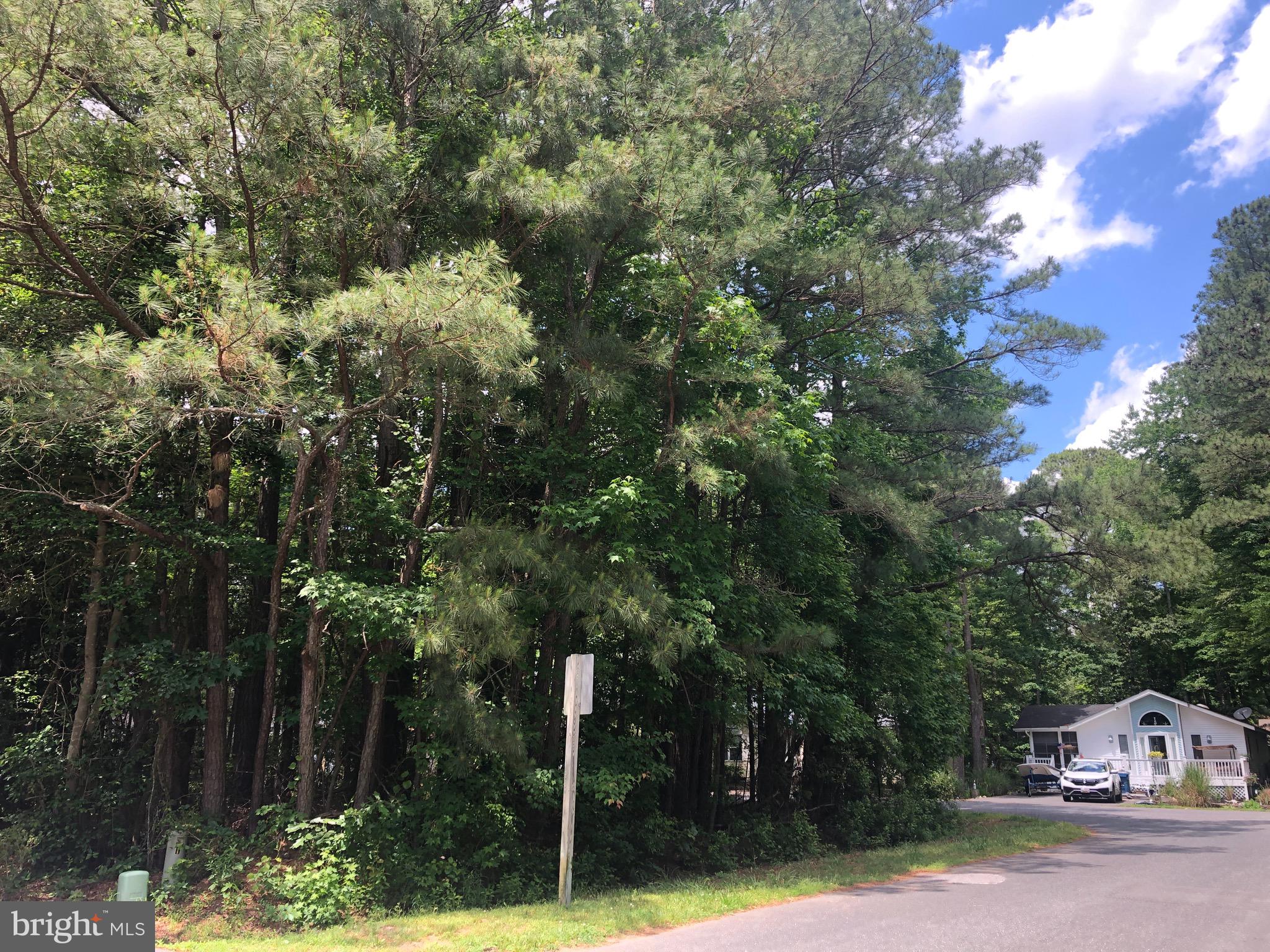 a front view of a house with a yard and tree s