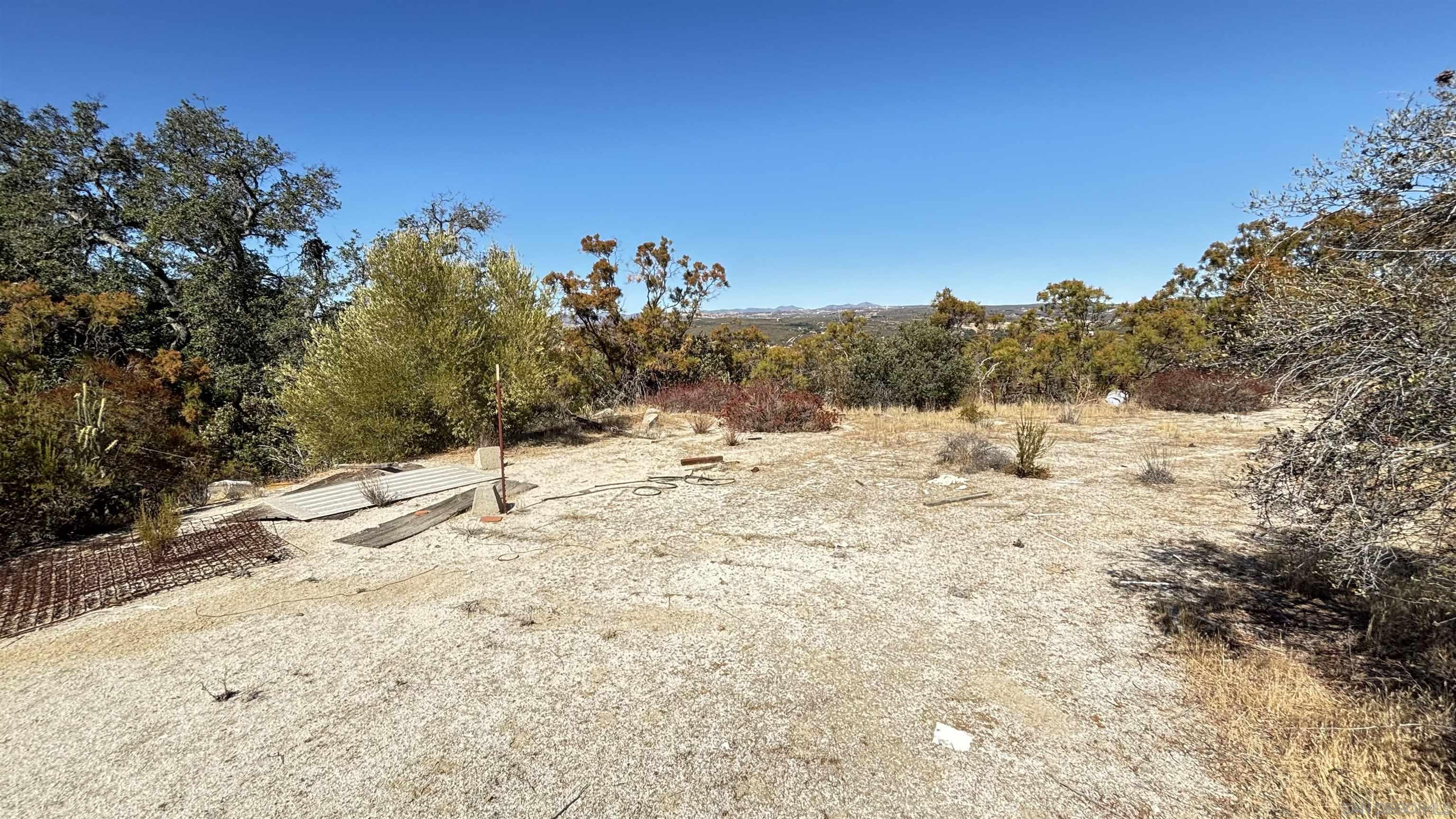 a view of a dry yard with a tree