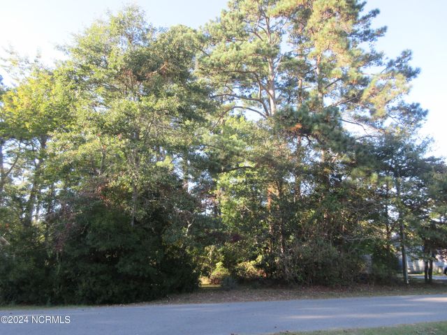 $75,000 | Tbd Alberta Street | Poplar Branch Township - Currituck County