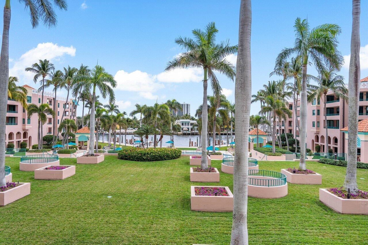 a view of a park with couches and palm trees