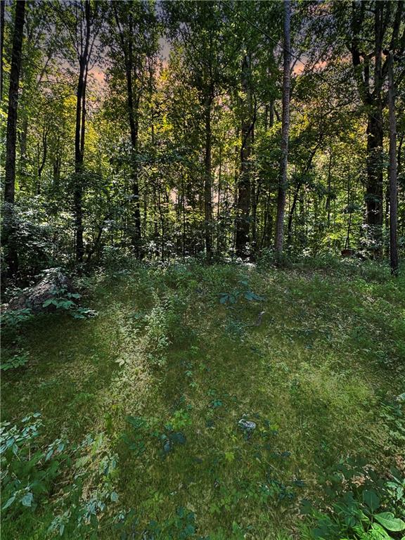 a view of a lush green space