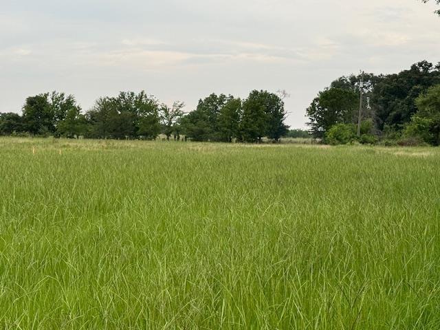 a view of a green field with trees in the background