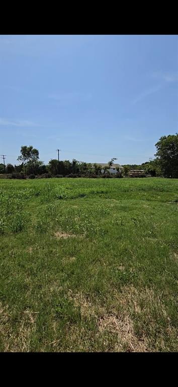 a view of a green field and an trees