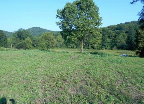 a view of outdoor space and yard