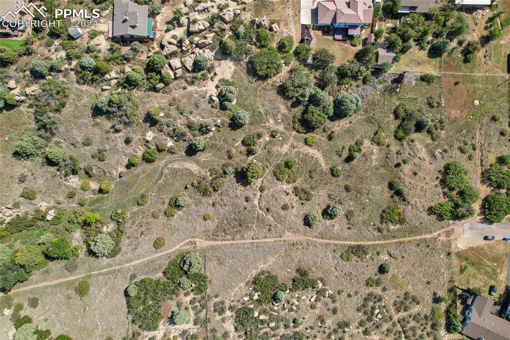 a view of a lot of trees and bushes