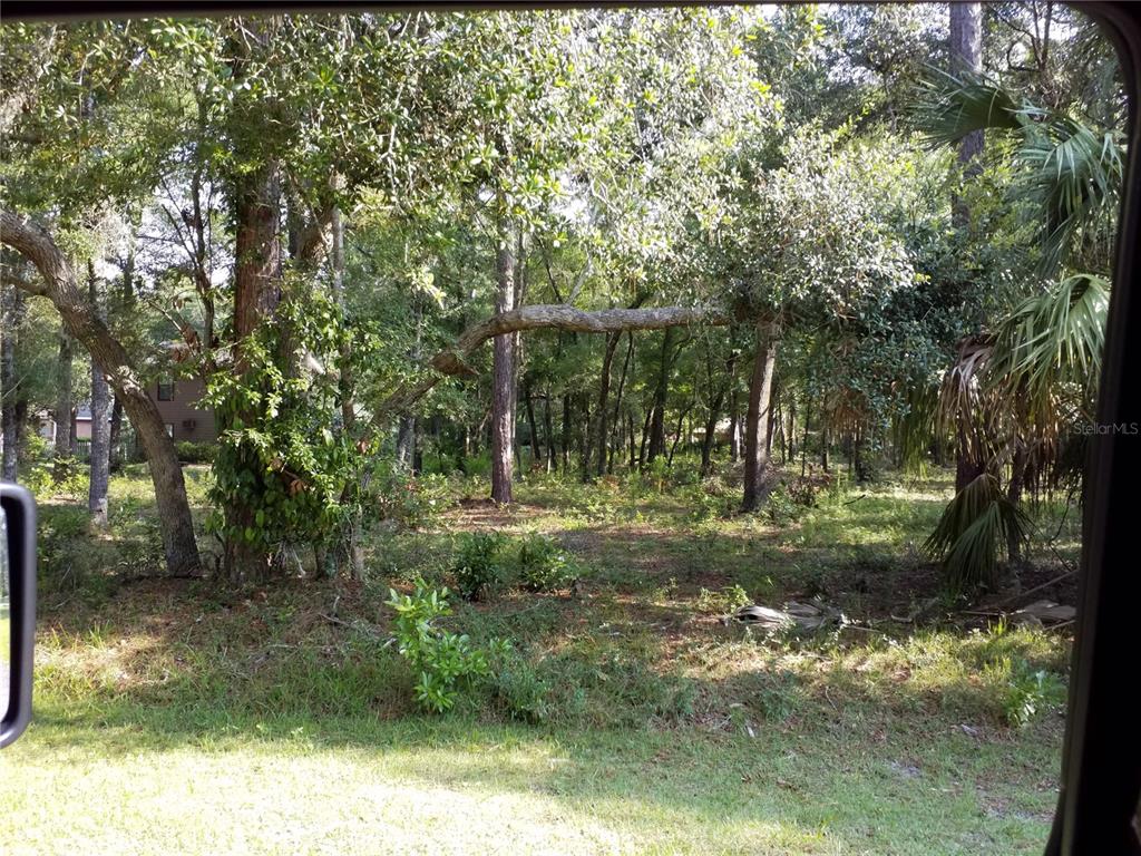 a view of a yard with large trees