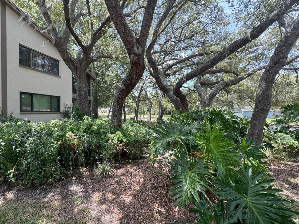 a view of a house with a tree