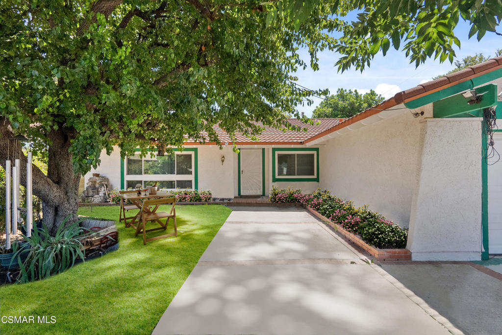 a view of back yard of the house