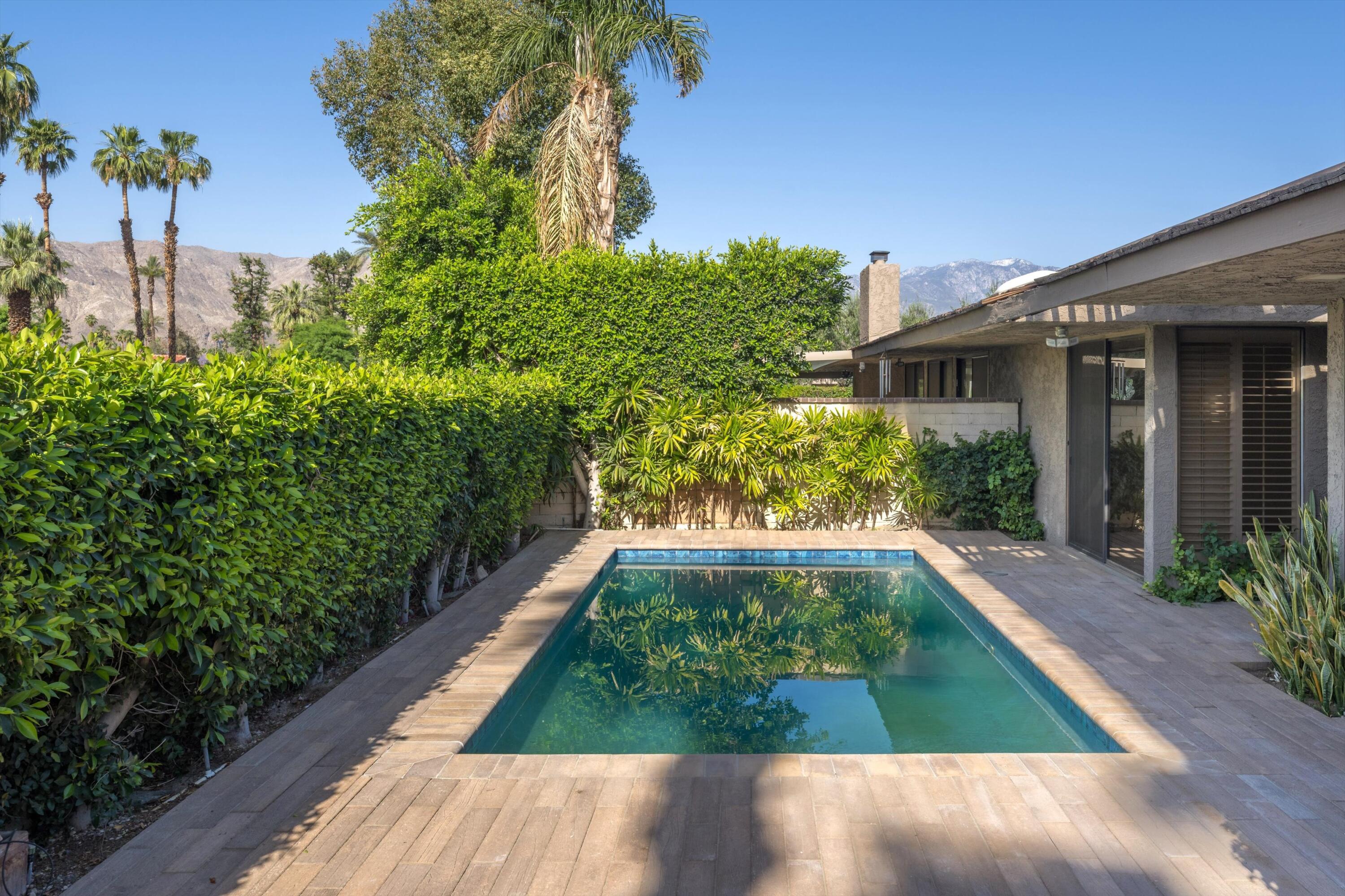 a view of backyard with plants