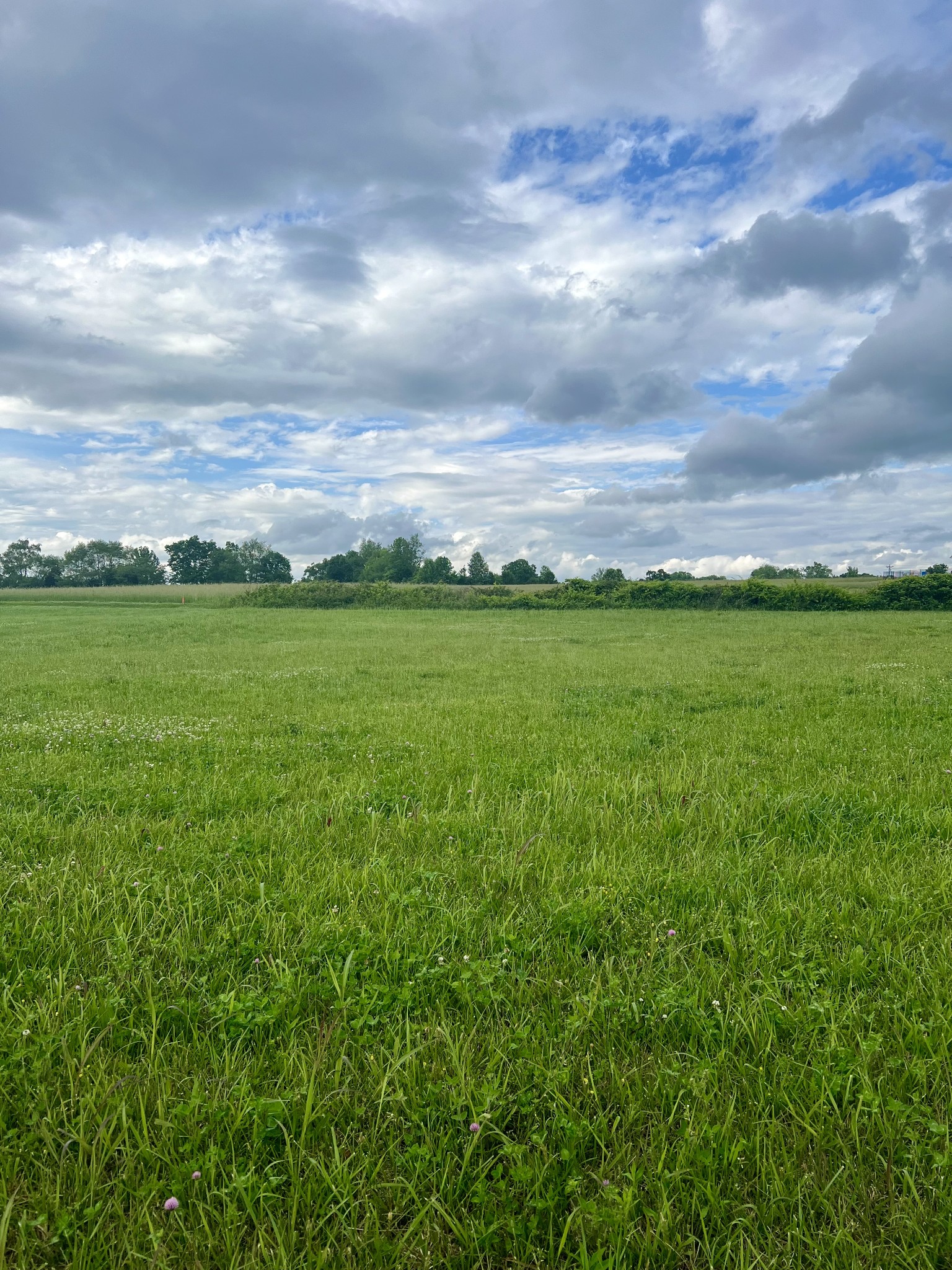 a view of a big yard of grass and an empty of buildings