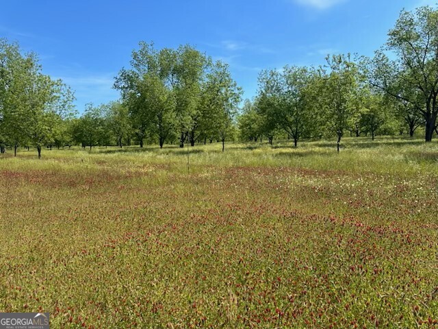 a view of a field with trees in the background