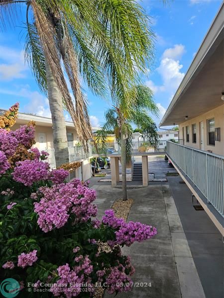 a view of a garden with flowers