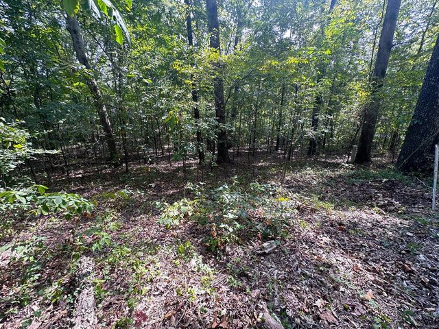 $15,000 | 0 Lot 39 Tomaro Trail | Poplar Bluff Township - Butler County