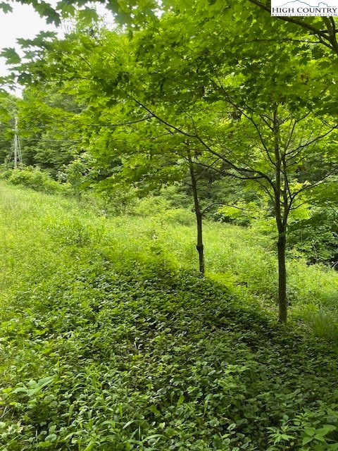 a view of yard with green space