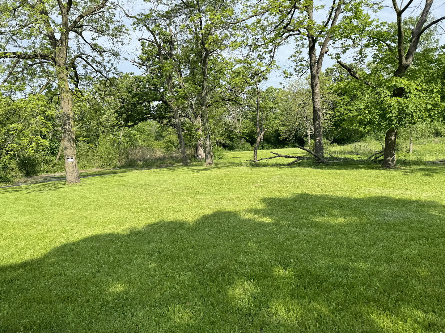 a view of a golf course with a trees