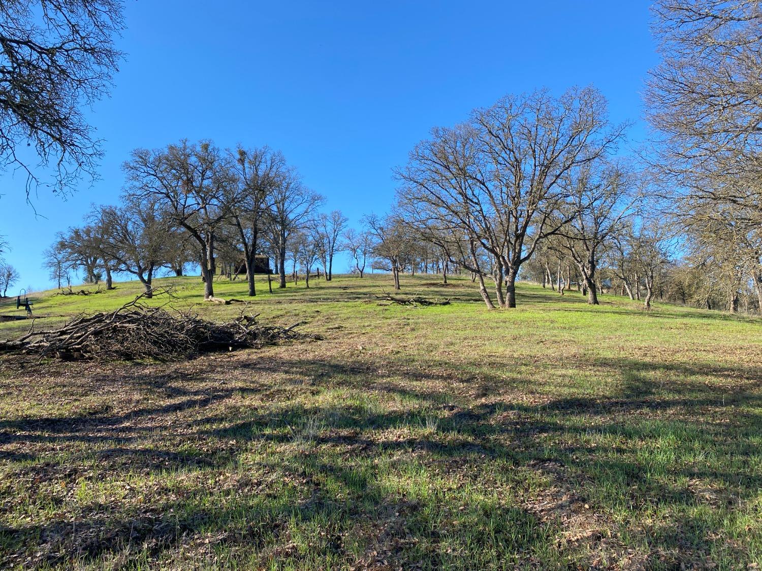 a view of a green field