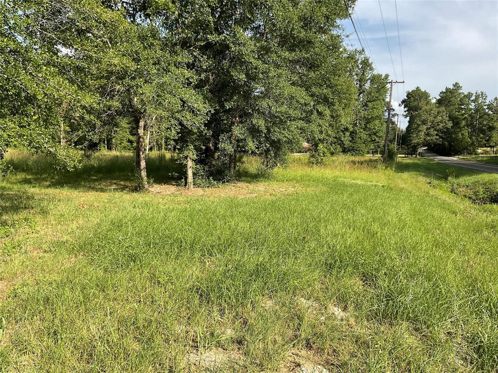 a view of yard with green space