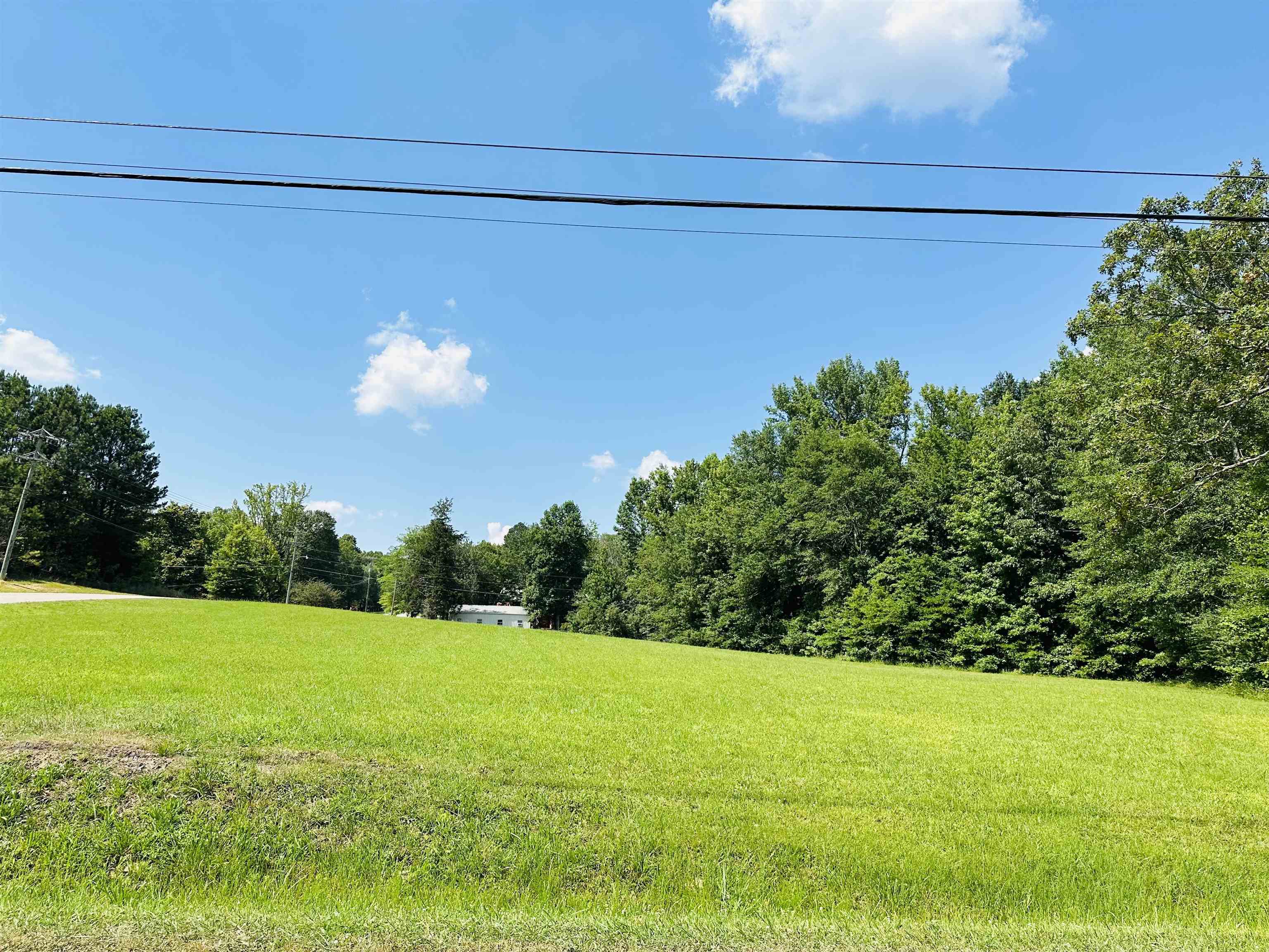 a view of a yard with a tree