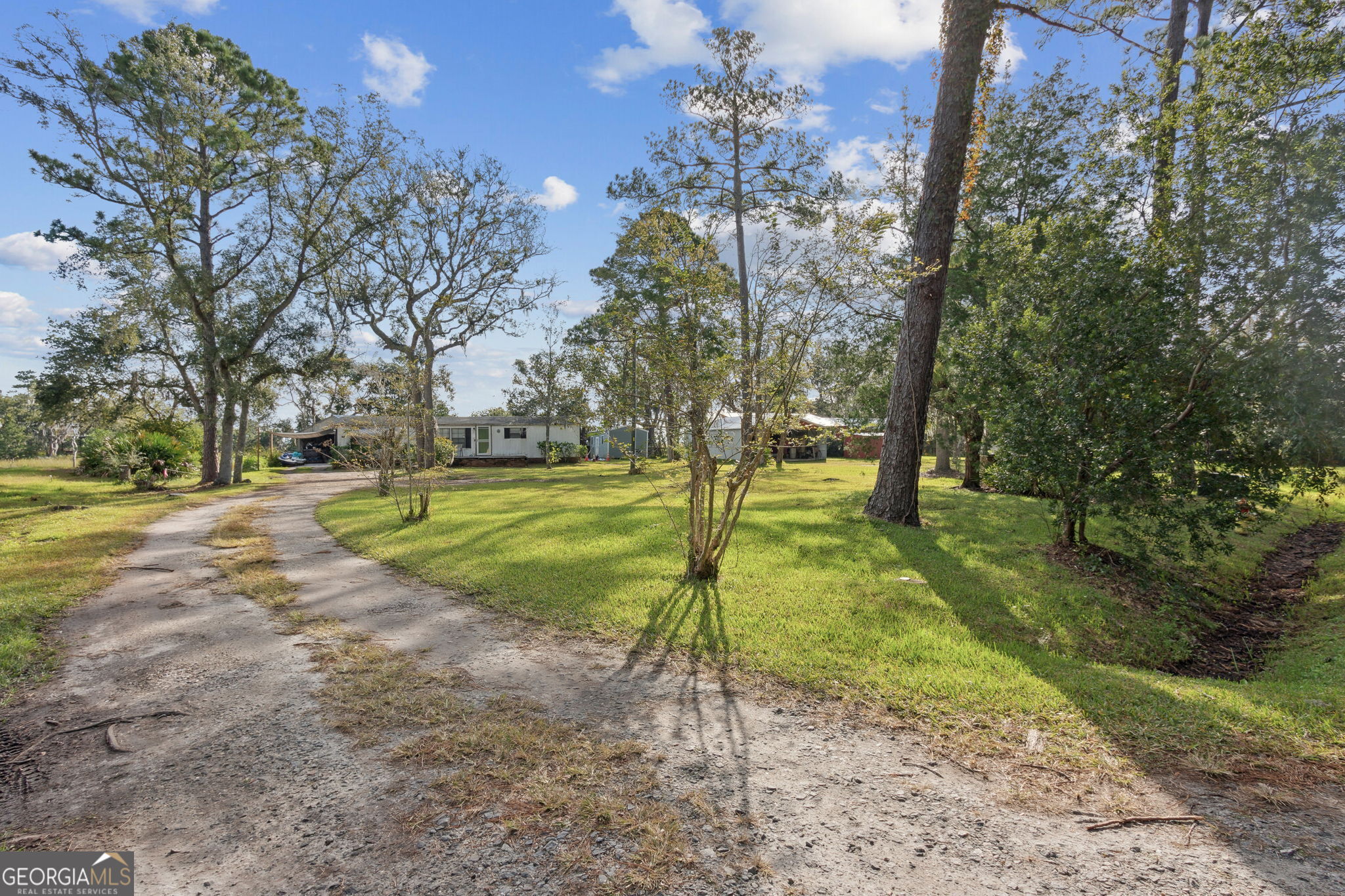 a view of a park with large trees