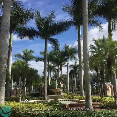 a view of outdoor space with palm trees