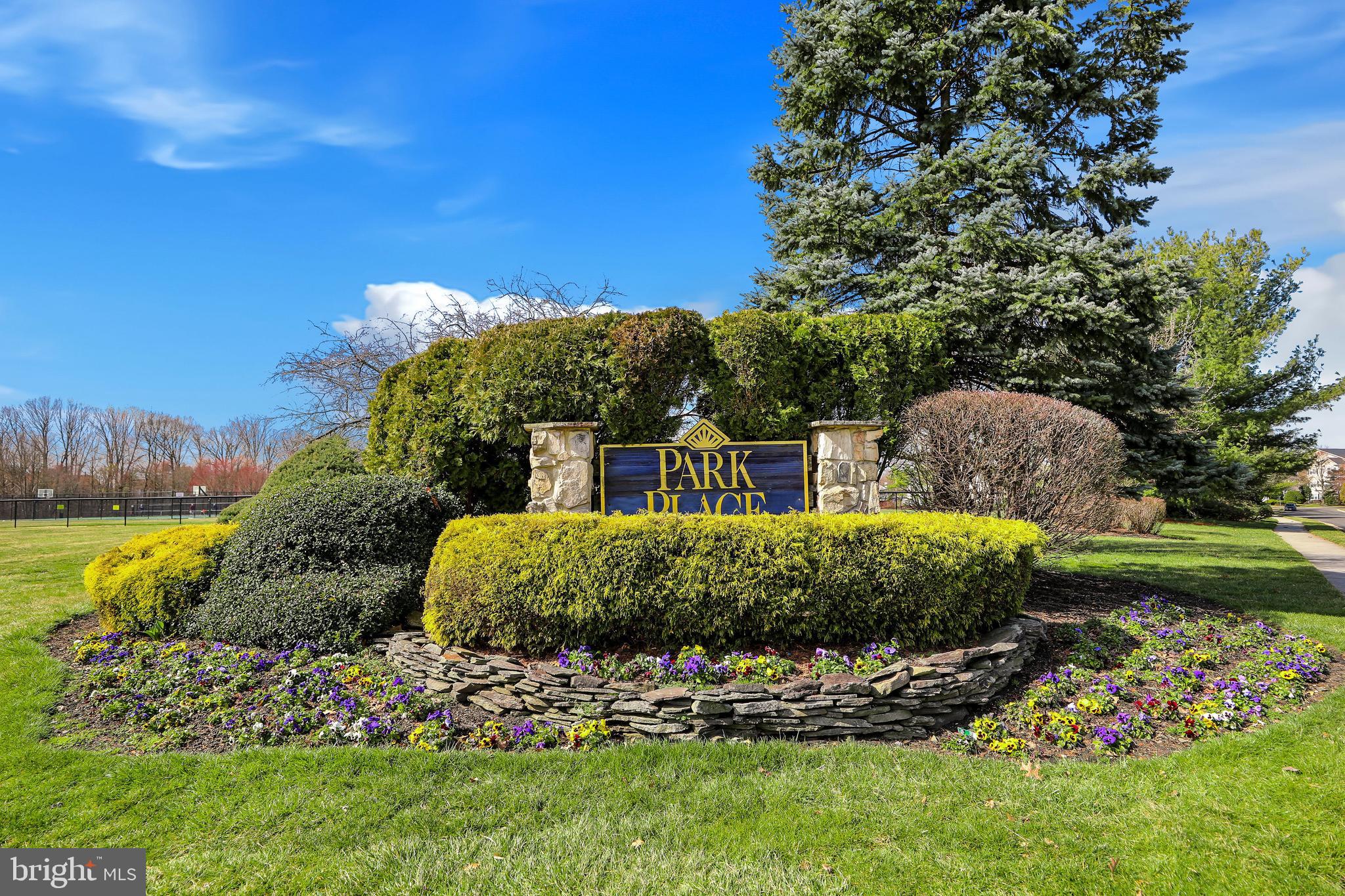 a view of a garden with plants and large trees