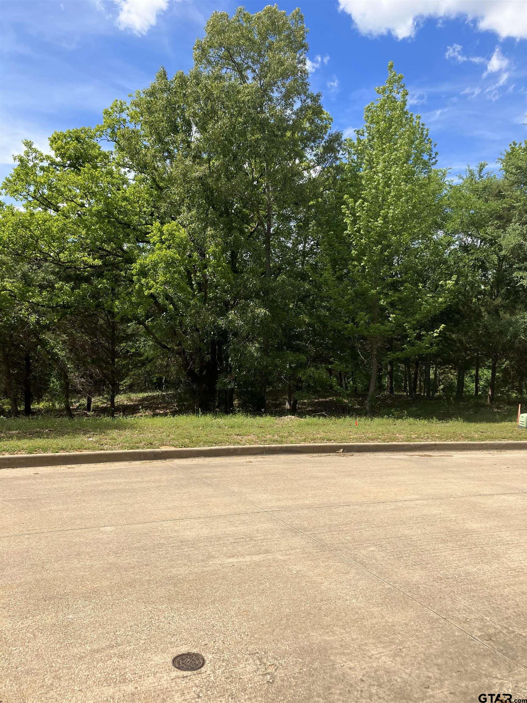 a view of a tennis court