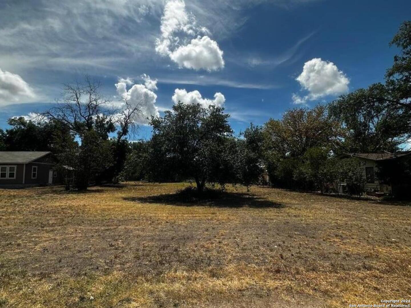 a view of a yard