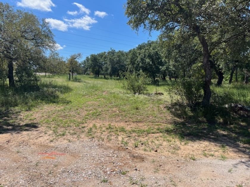 a view of a yard with a tree