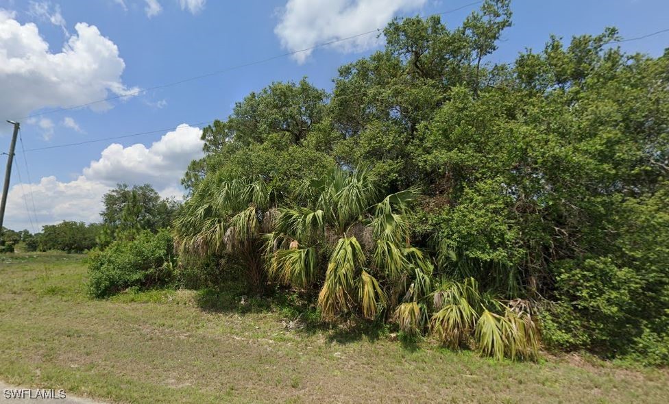 a view of outdoor space and trees