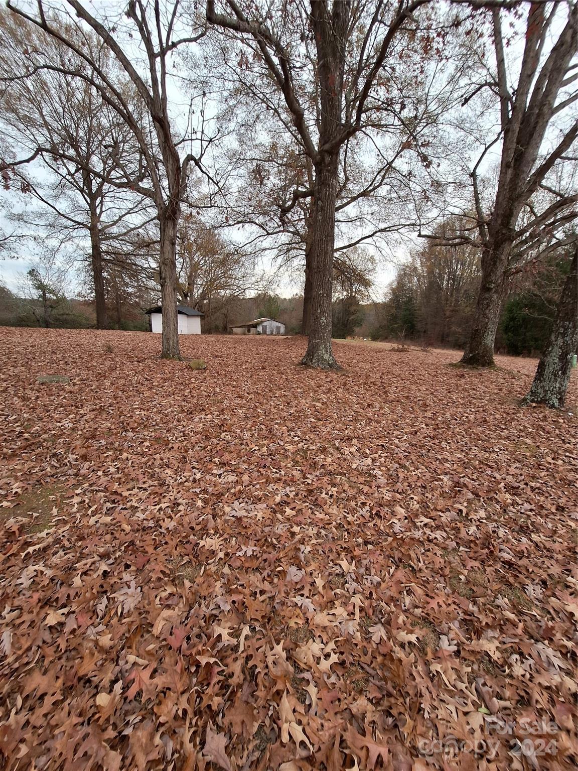 a view of outdoor space with yard