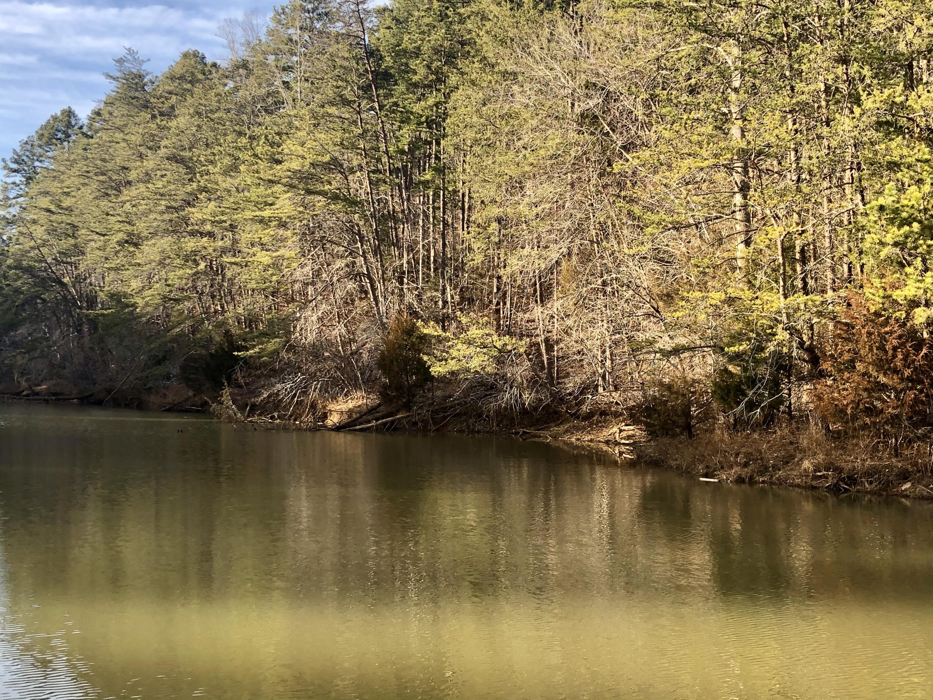 a view of lake