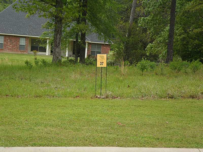 a house with a yard