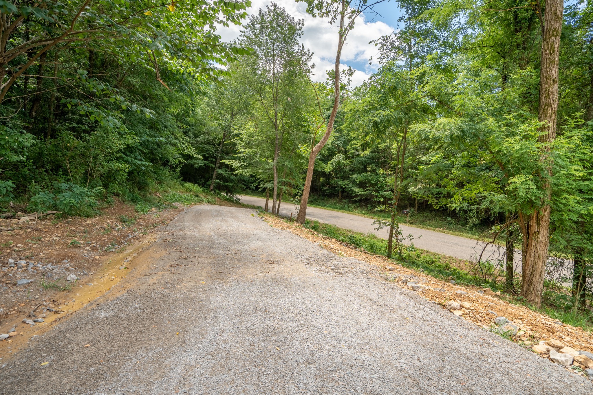 a view of a road with a trees