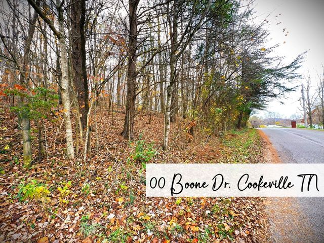 $34,900 | 0 Boone Drive