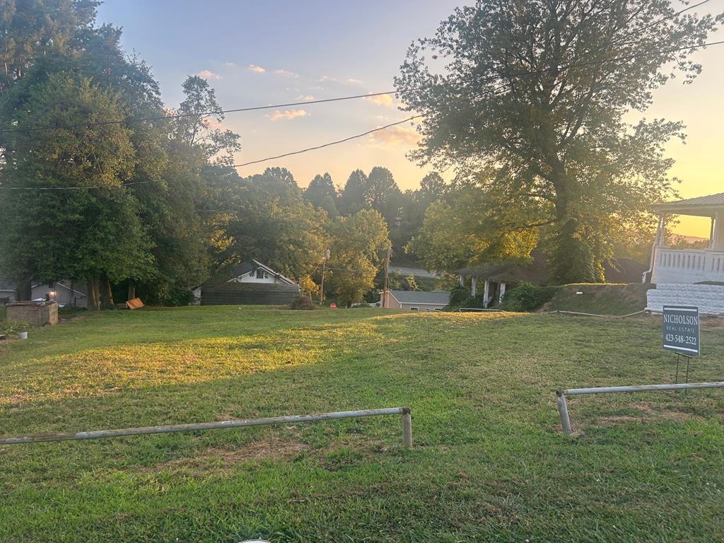 a view of a field with an trees