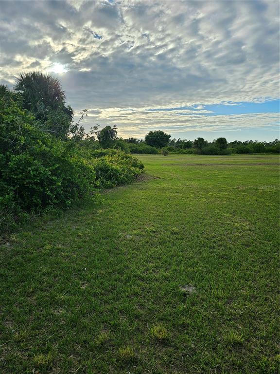 a view of an ocean from a yard