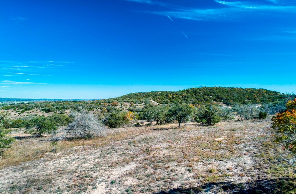 a view of a dry yard with trees in the background