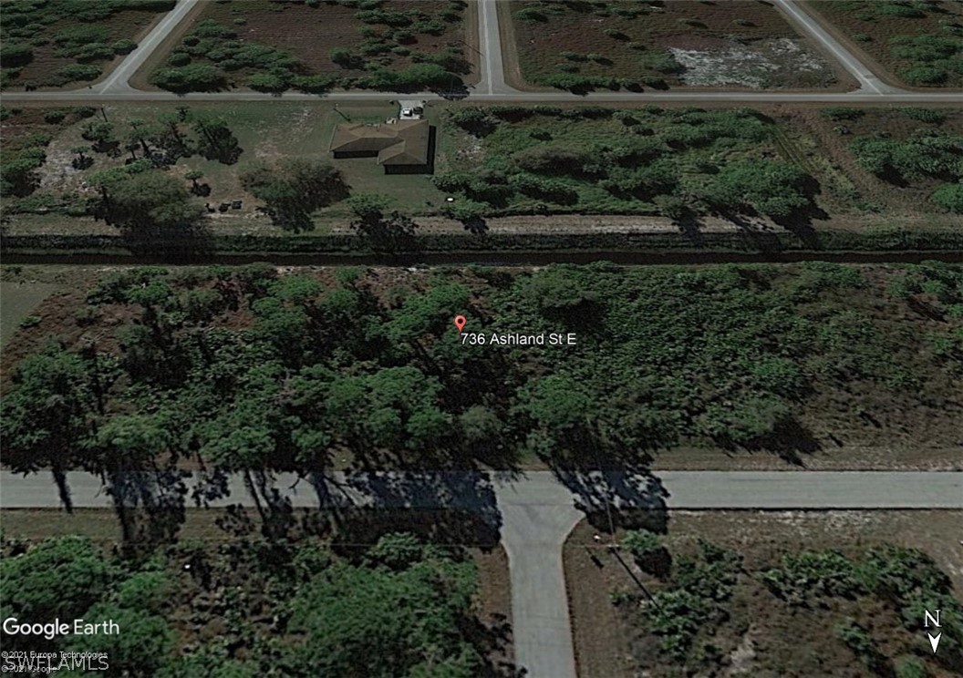 a view of a garden with a lot of trees