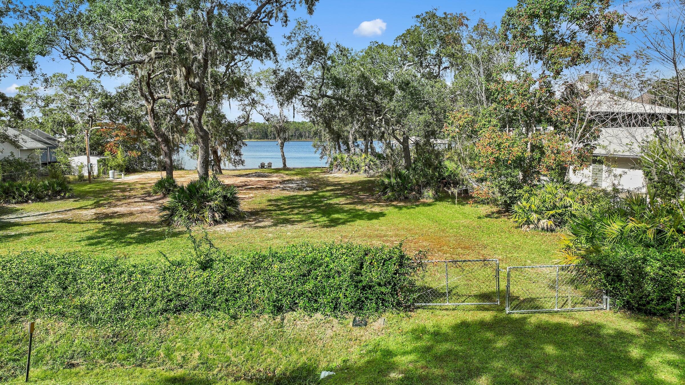 a view of a yard with plants and large trees