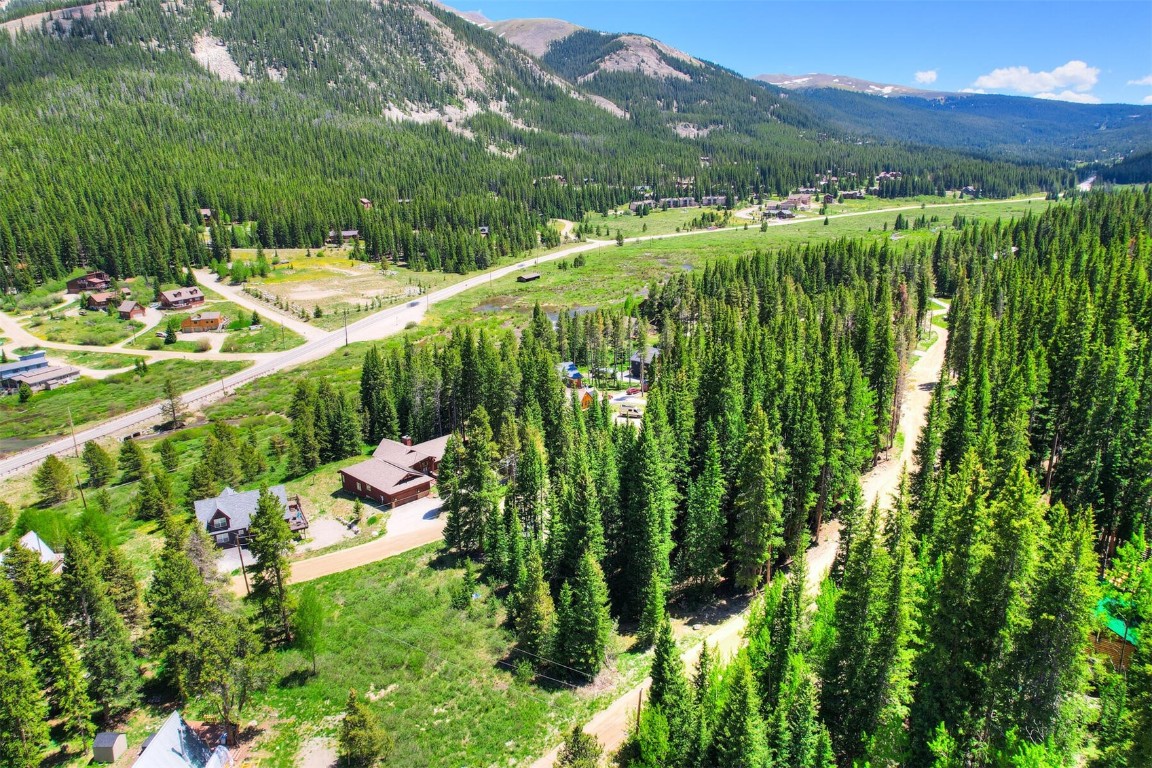 a view of a city with lush green forest