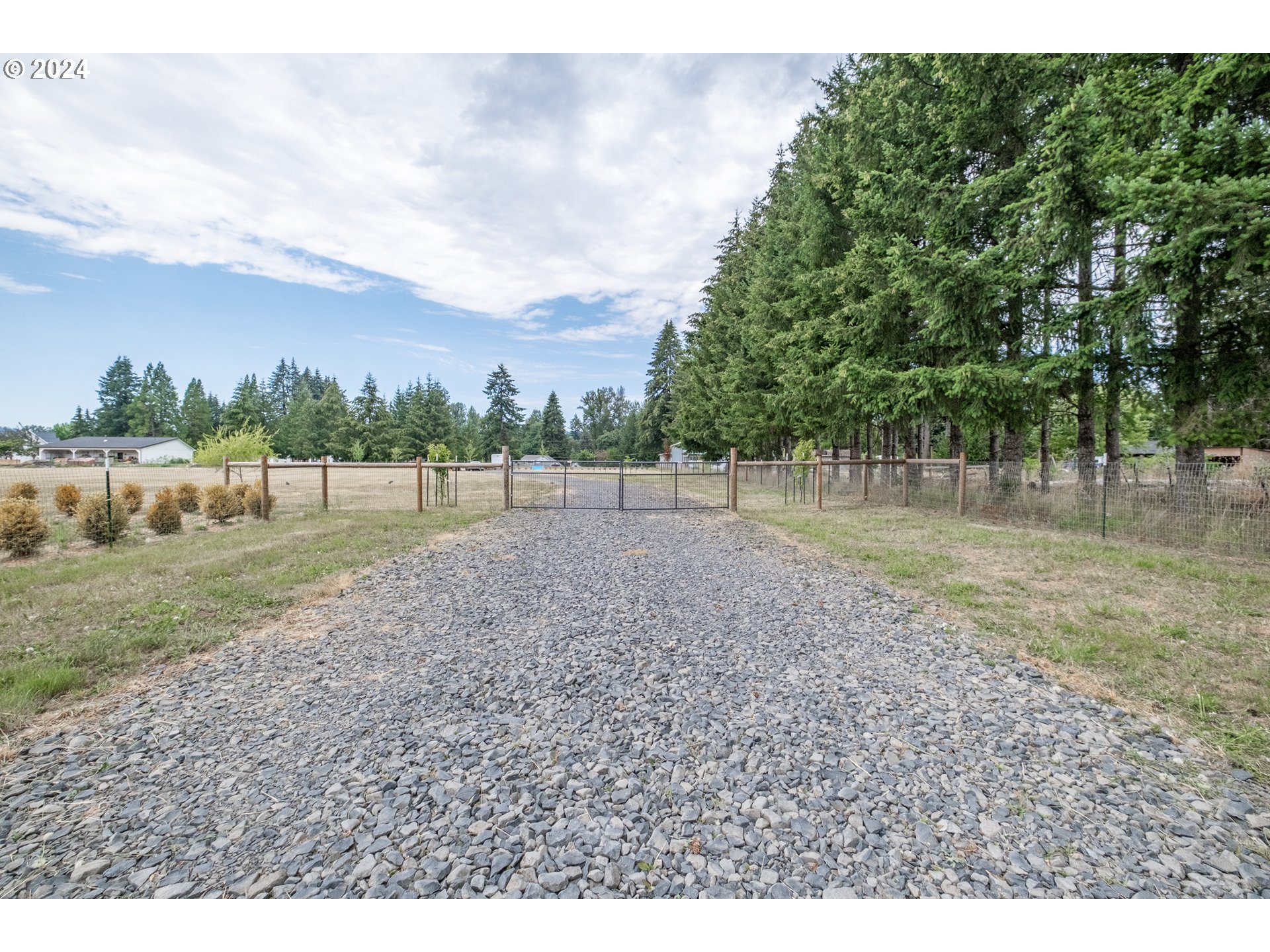 a view of a yard with a large tree and a wooden fence