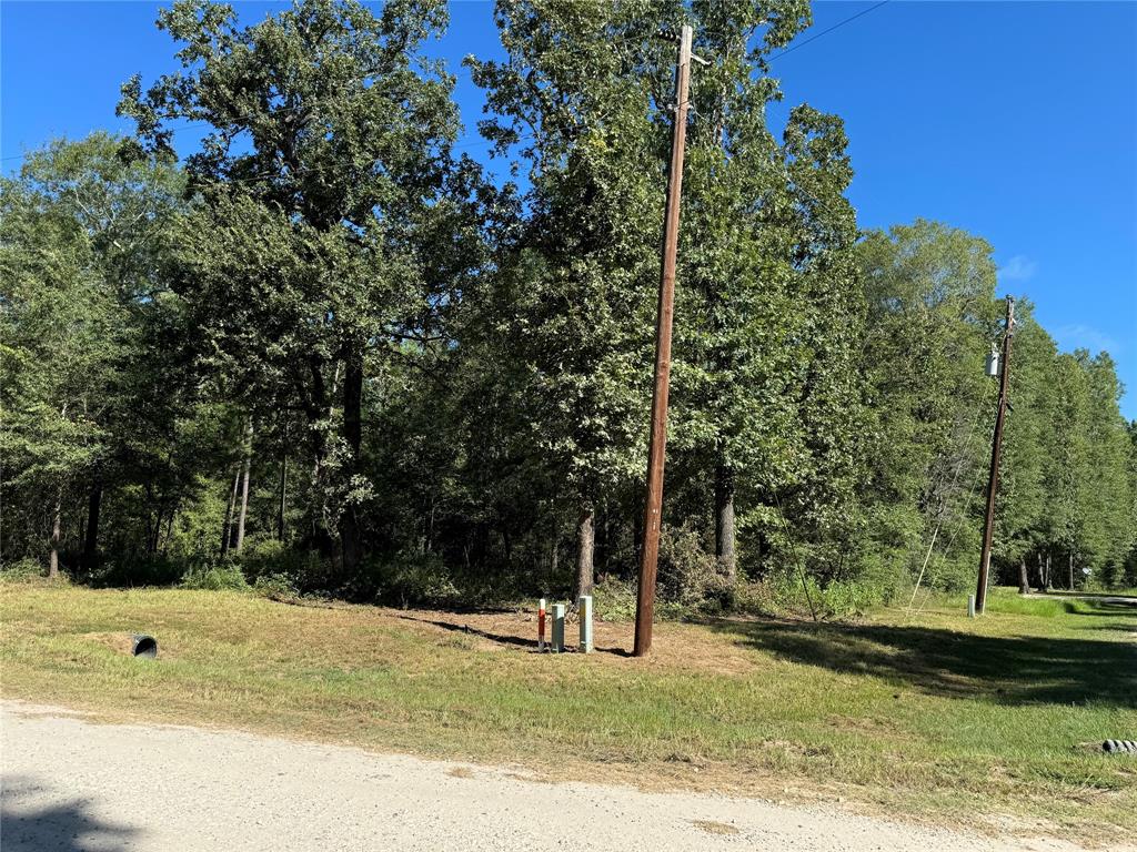 a view of a tree in front of a house