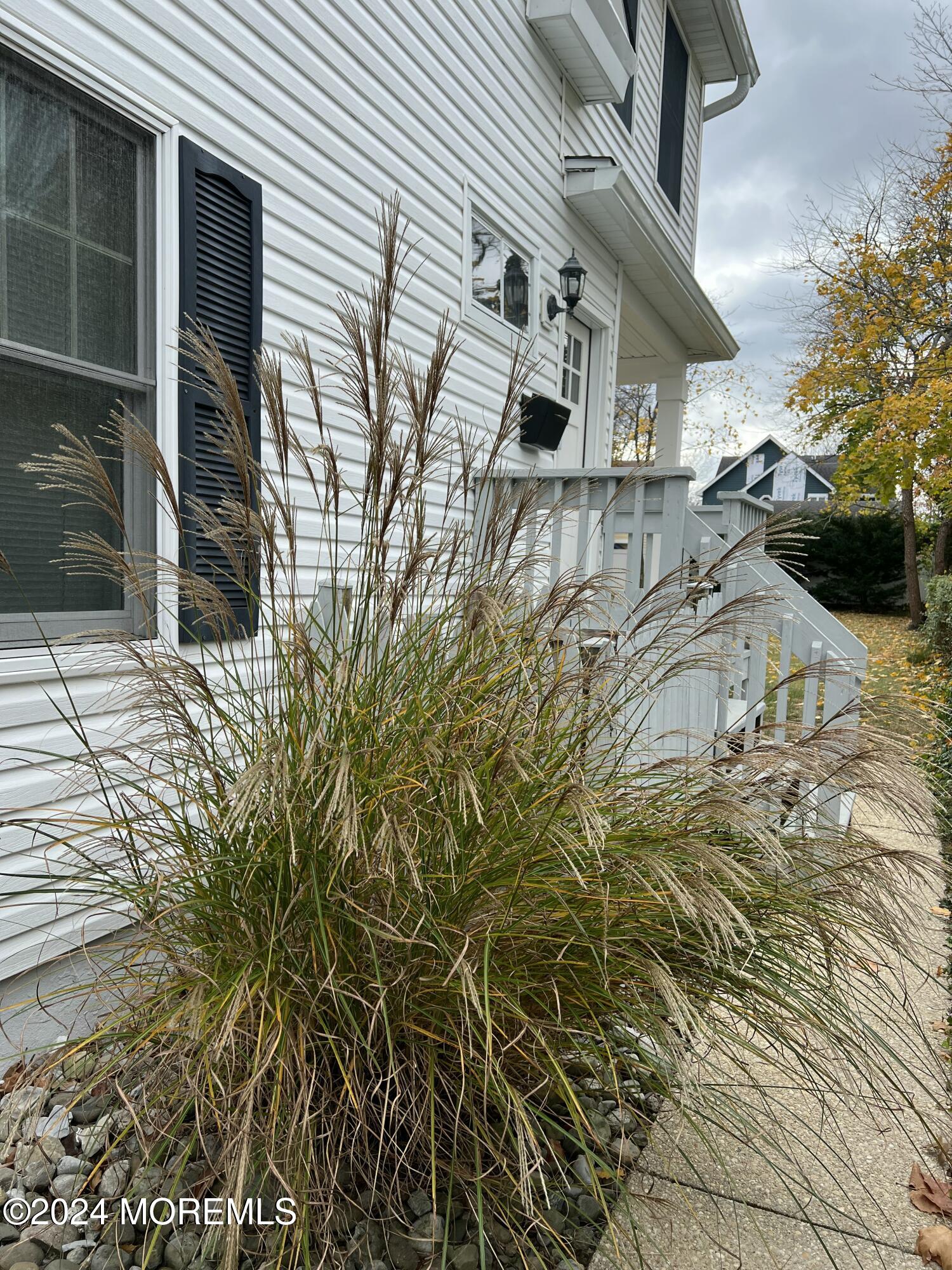 a view of outdoor space and yard