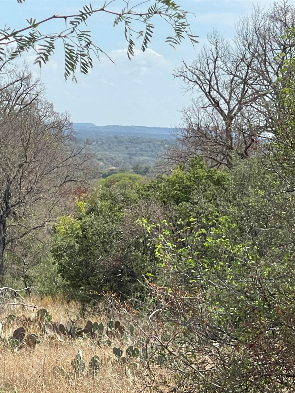 a view of a field