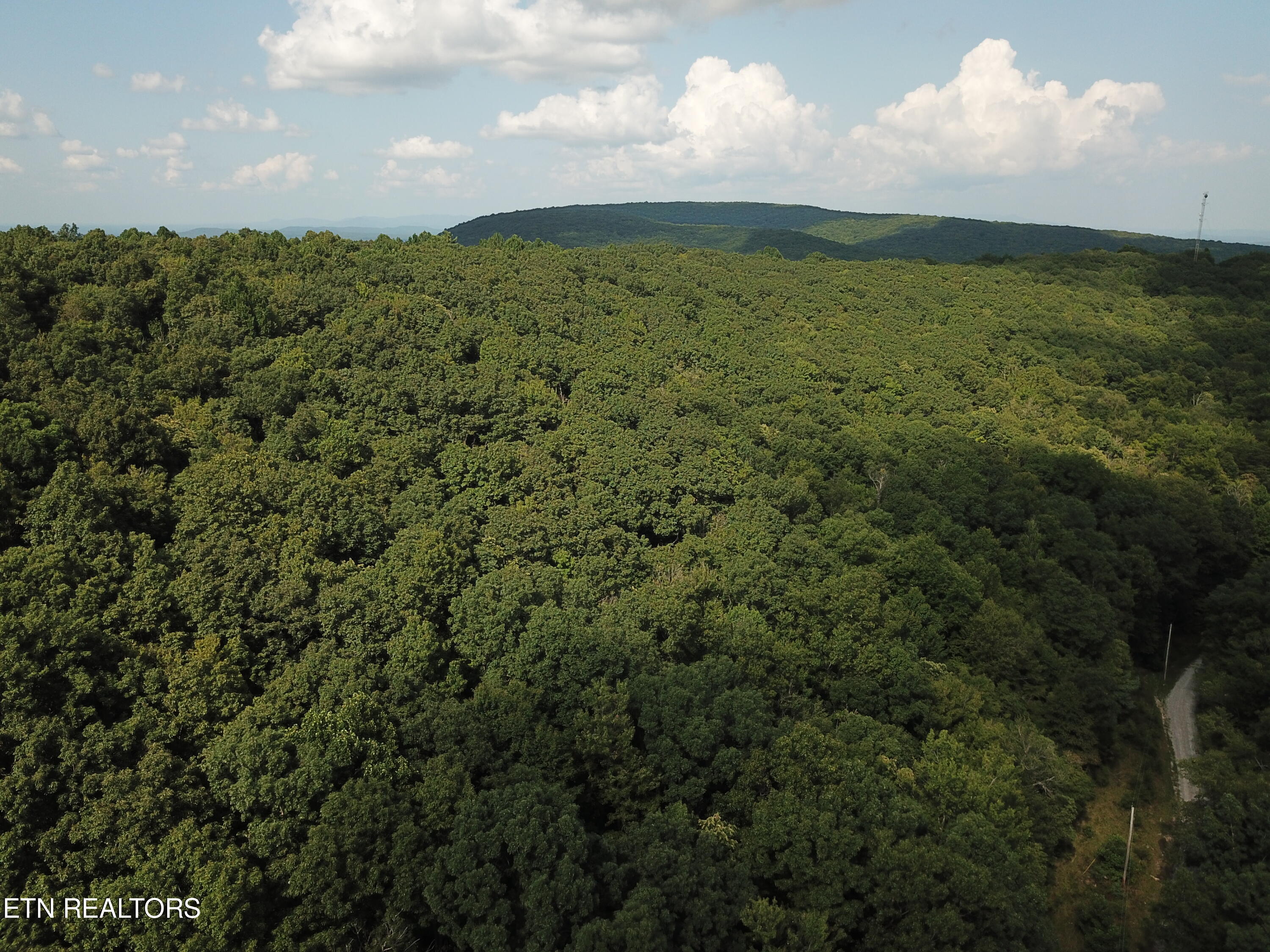 Millstone Mountain Rd. (137 acres)