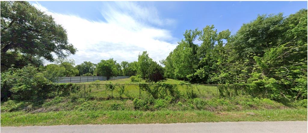 a view of a lush green space