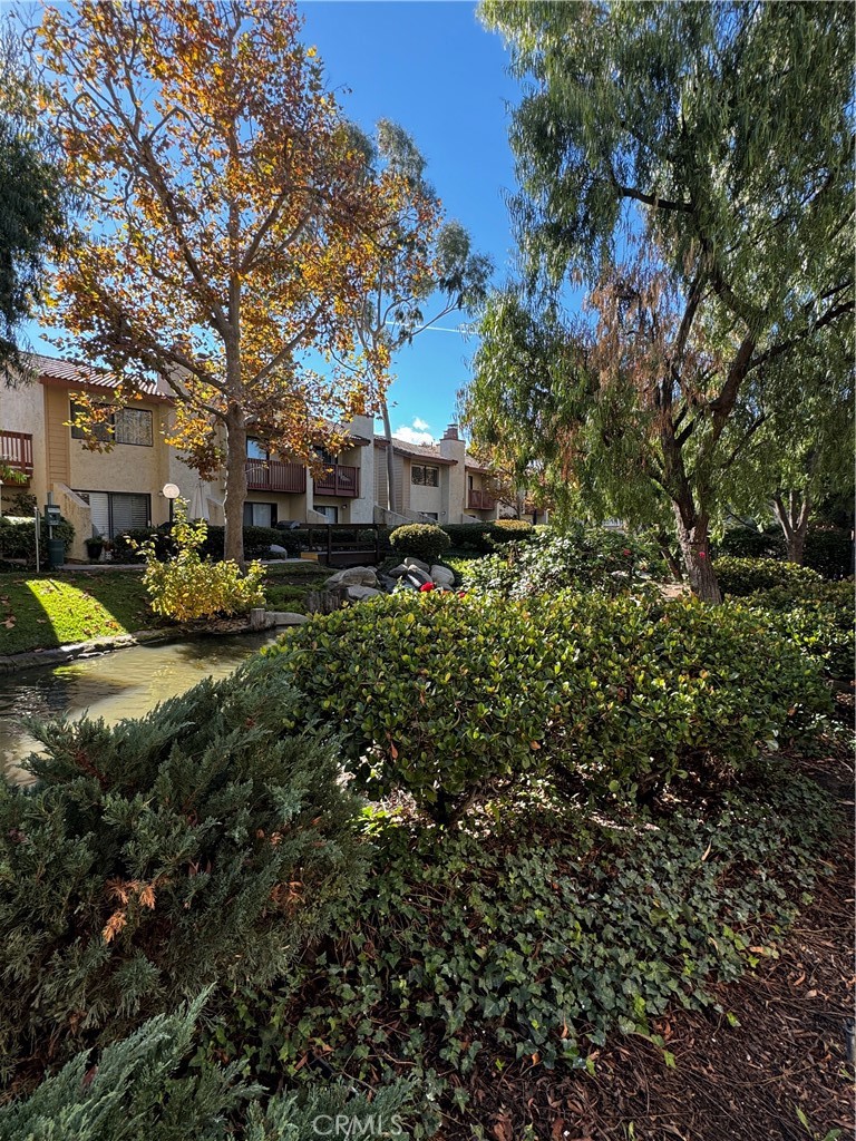 a view of a yard with plants and trees