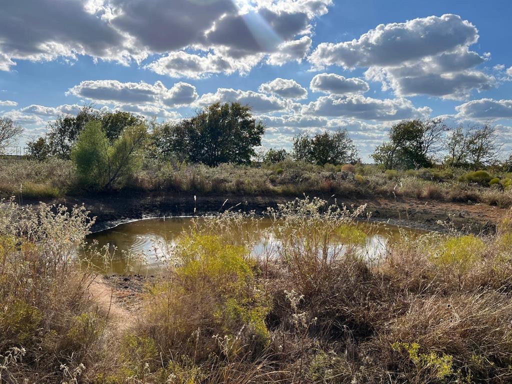 a view of a lake